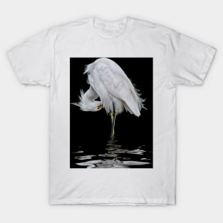 Snowy Egret Preening T-Shirt